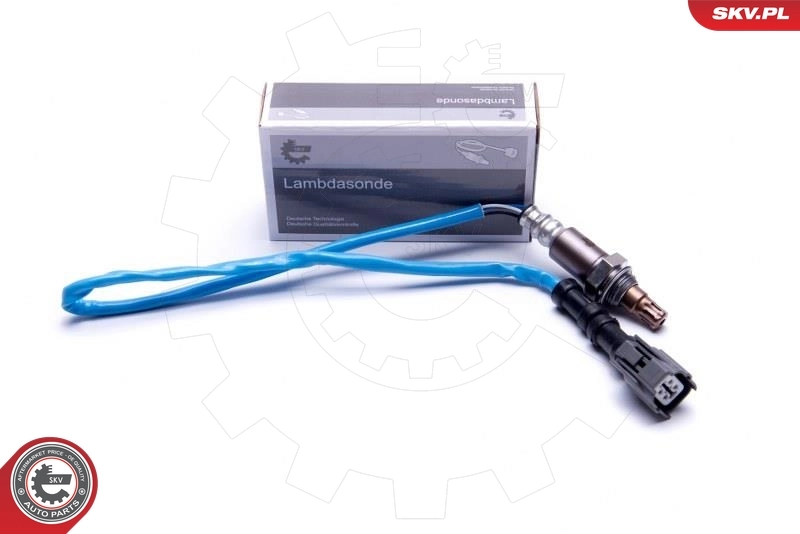Oxygen Sensor